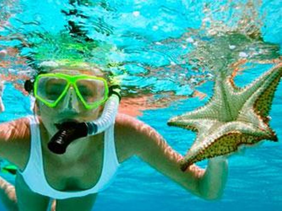 Camping Lloret Blau, 3* - 47