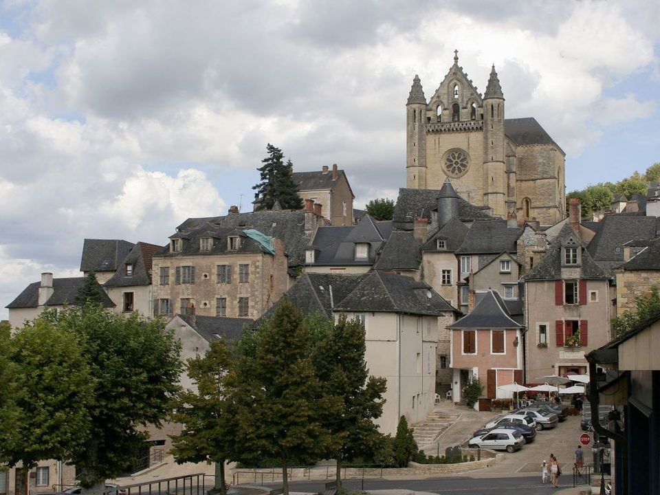 Camping La Salvinie Aquitaine - Terrasson-Lavilledieu visuel 10/10