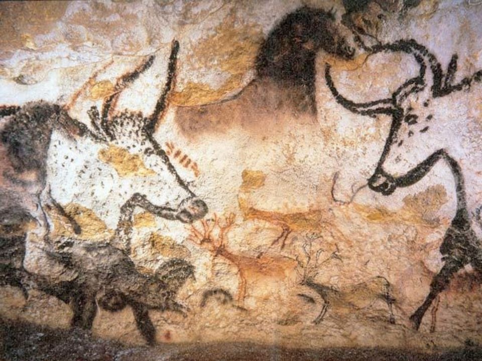 Camping La Salvinie Aquitaine - Terrasson-Lavilledieu visuel 9/10