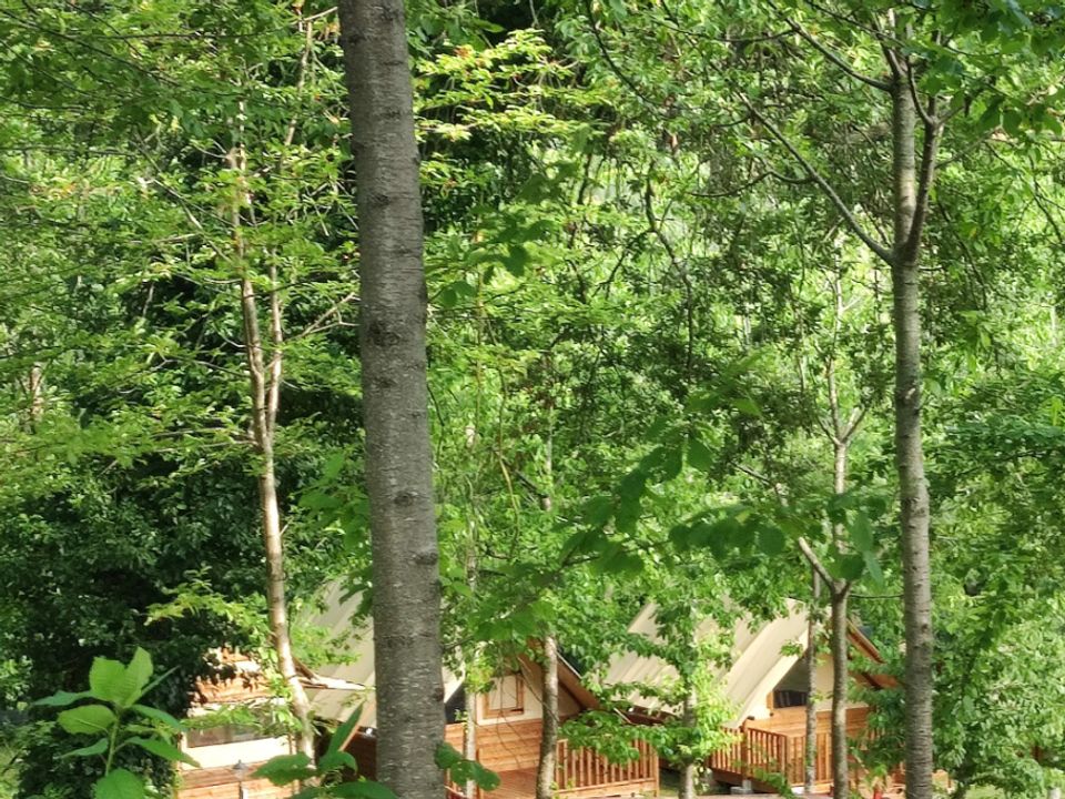 Saecula Natural Village Experience Marches - Altidona visuel 9/10