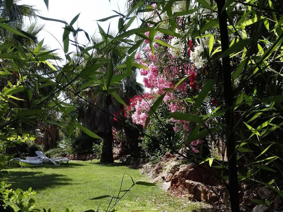 L'Escala Resort - 10
