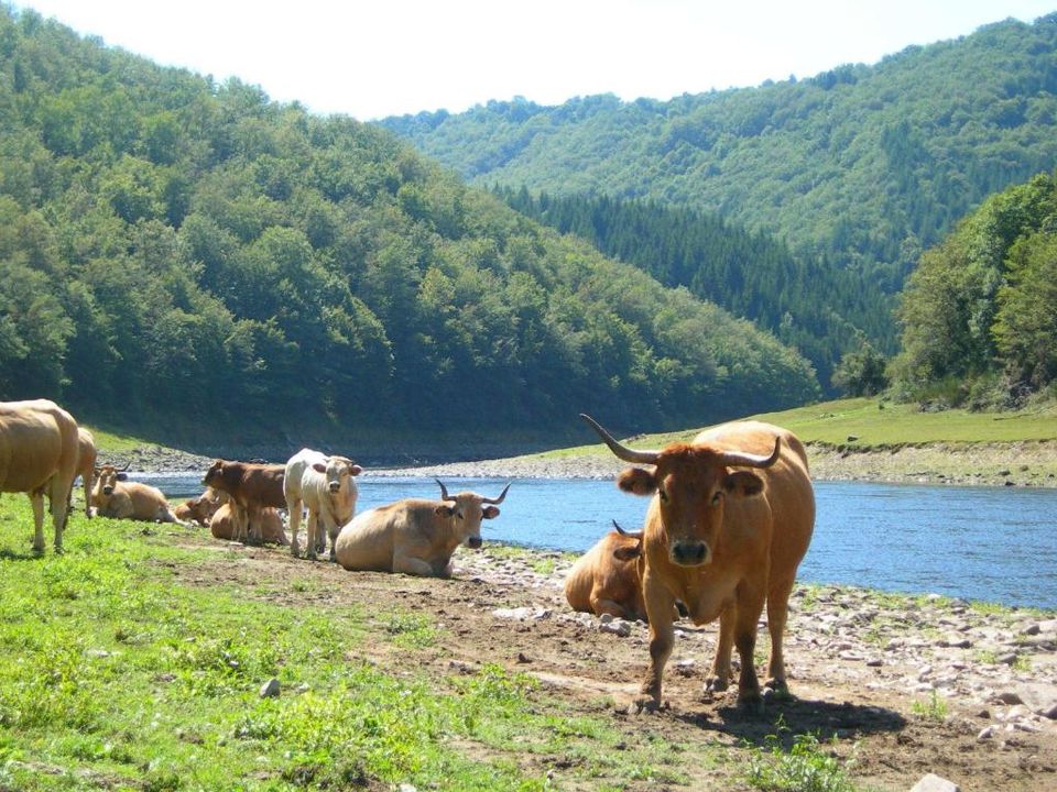 France - Auvergne - Chaudes Aigues - Village Vacances Les Terres d'Aubrac 2*