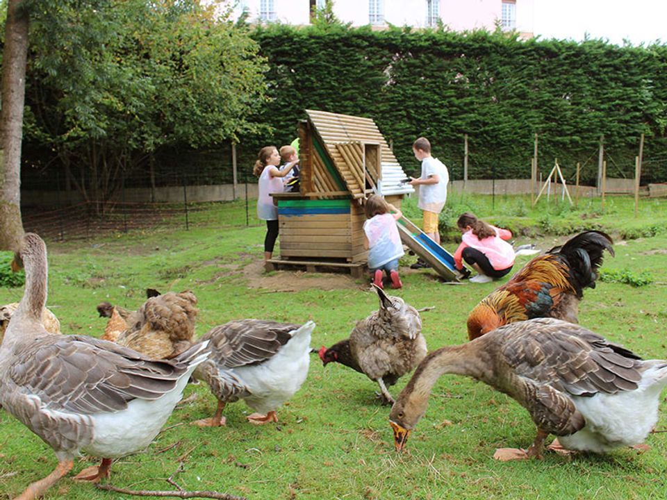 VVF Villages L'Ecrin Normand - Forges-les-Eaux - Haute-Normandie - Forges-les-Eaux visuel 3/10