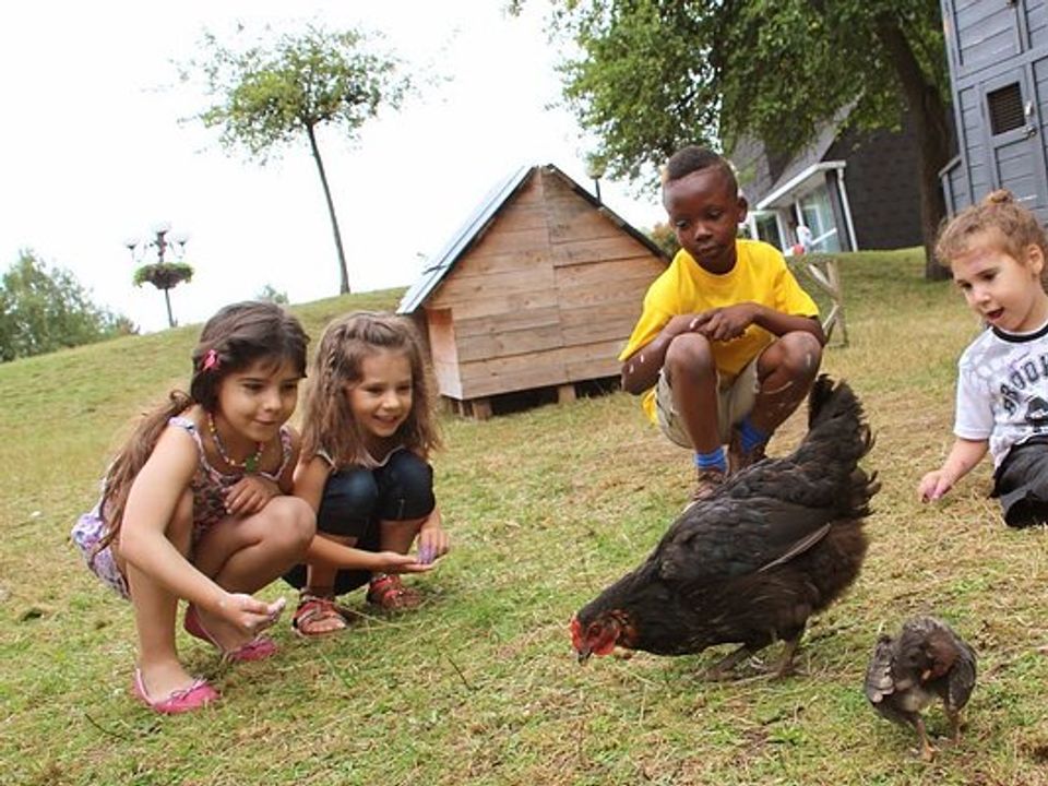 VVF Villages L'Ecrin Normand - Forges-les-Eaux - Haute-Normandie - Forges-les-Eaux visuel 4/10