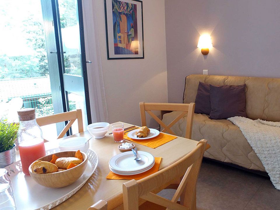 VVF Villages - Les lacs du Cantal - Champs-sur-Tarentaine-Marchal, 3* - 12