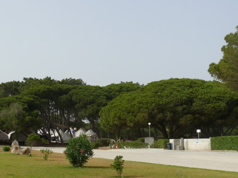 Camping Orbitur Sagres