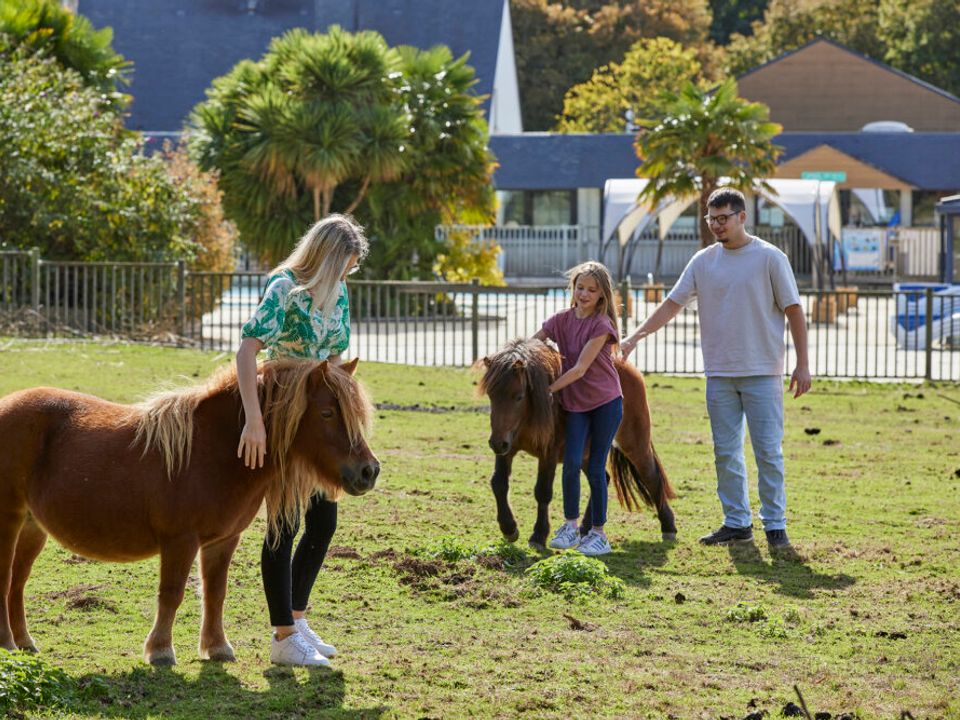 France - Bretagne - Monterblanc - Camping Les Jardins du Morbihan 4* - Vente Flash