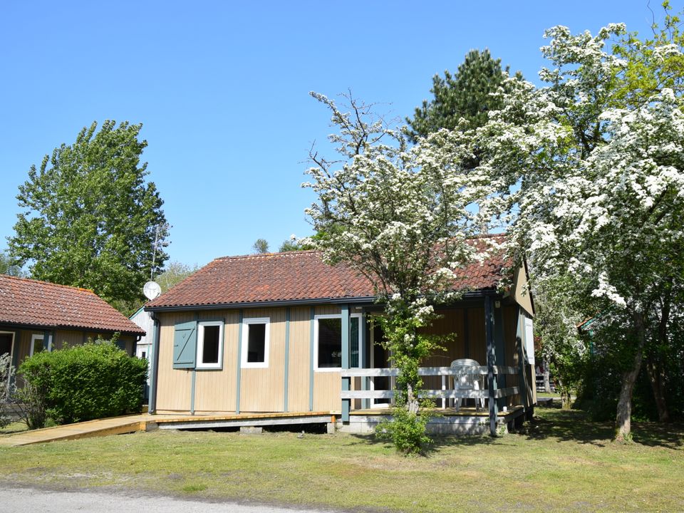 France - Nord et Picardie - Rang du Fliers  - Camping L'Orée du Bois 4*