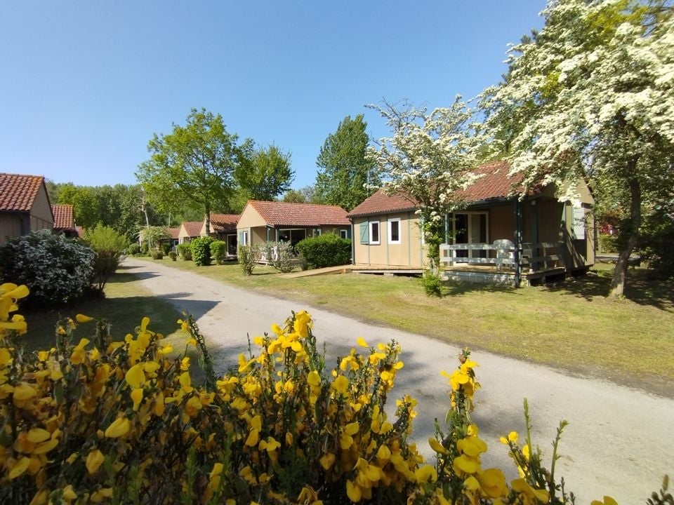 France - Nord et Picardie - Rang du Fliers  - Camping L'Orée du Bois 4*