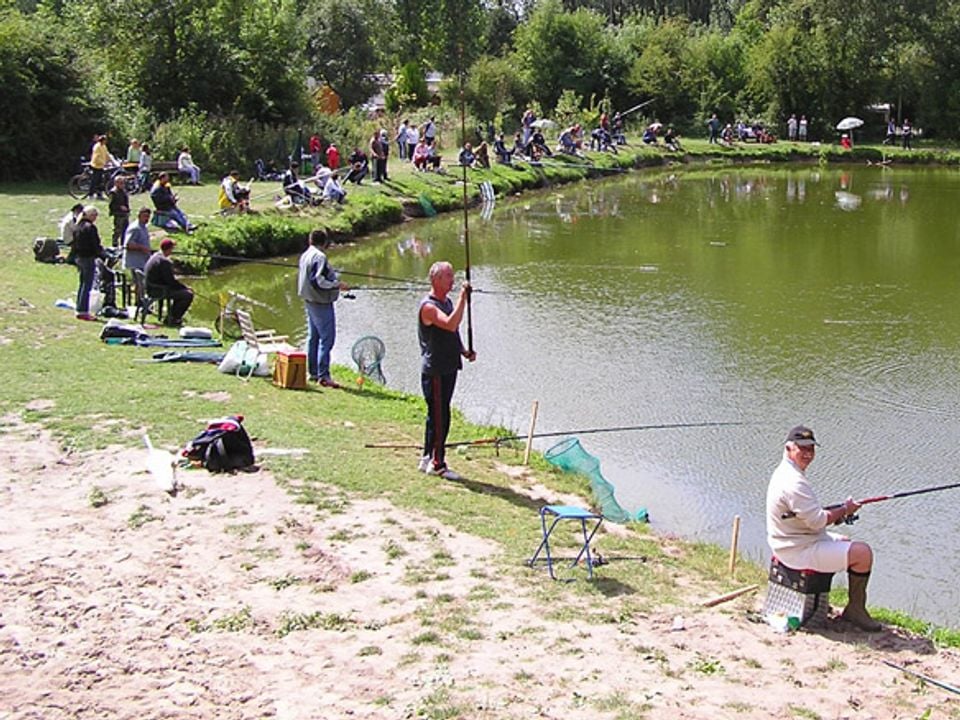 France - Nord et Picardie - Rang du Fliers  - Camping L'Orée du Bois 4*