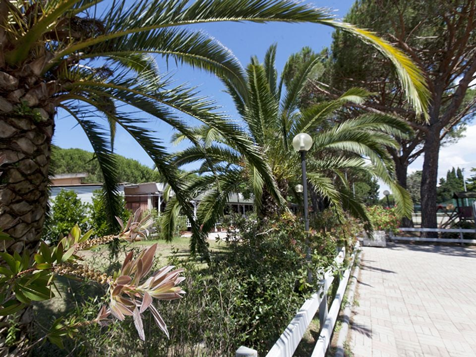 Camping Village Oasi Toscane - Orbetello visuel 2/10