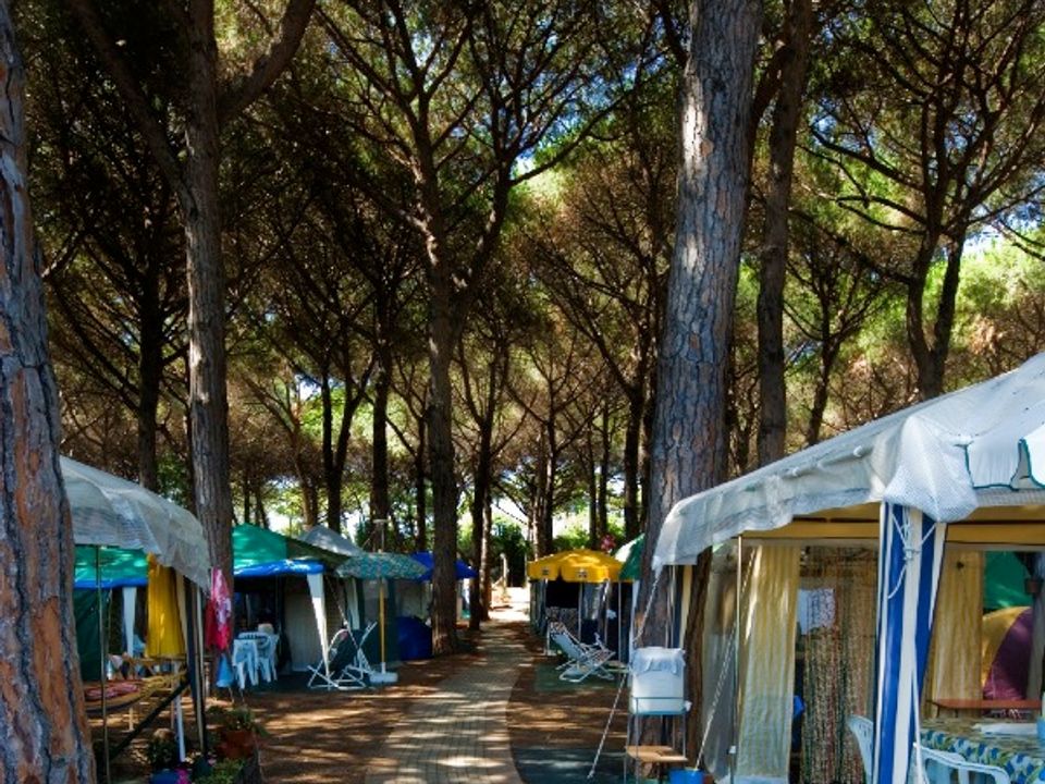 Italie - Toscane - Albinia - Camping Village Africa