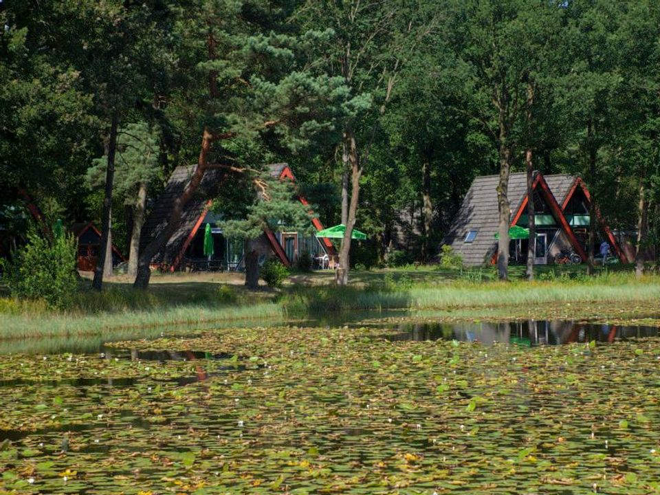 Vakantiepark 't Vosseven - Camping Weert