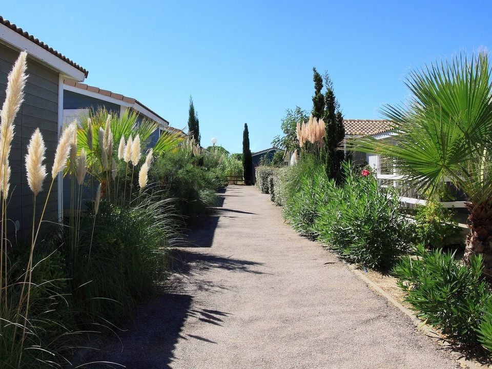 Where is Camping Le Hameau de Cannisses located? - Photo 3