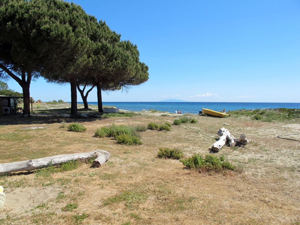 Rico Plage photo 4