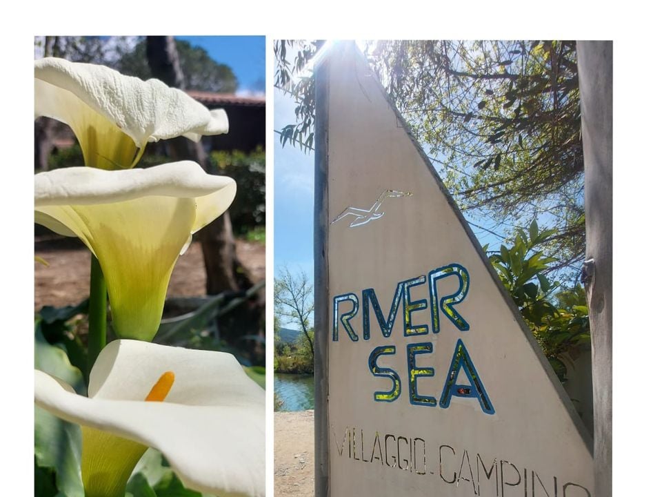 Camping River Sea - Photo 3