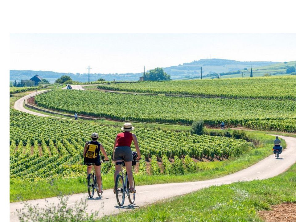 Camping Les Premières Vignes à SAVIGNY LES BEAUNE, tarifs et réservations