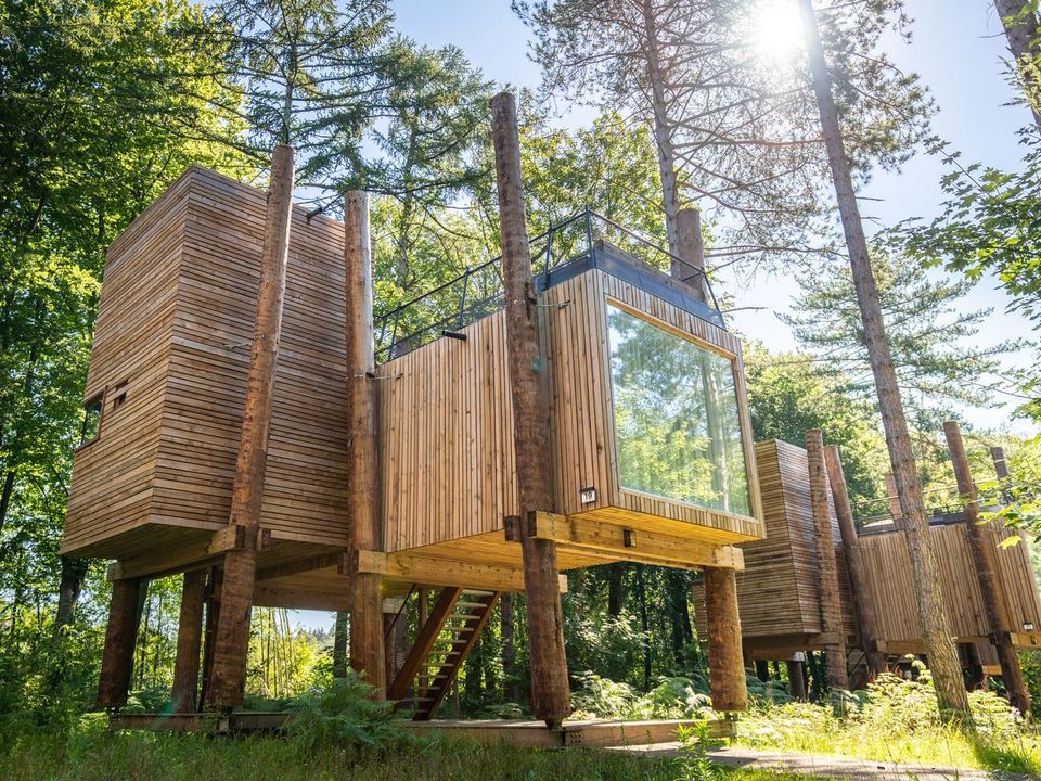 Landal Forest Resort Your Nature  - Camping Henegouwen