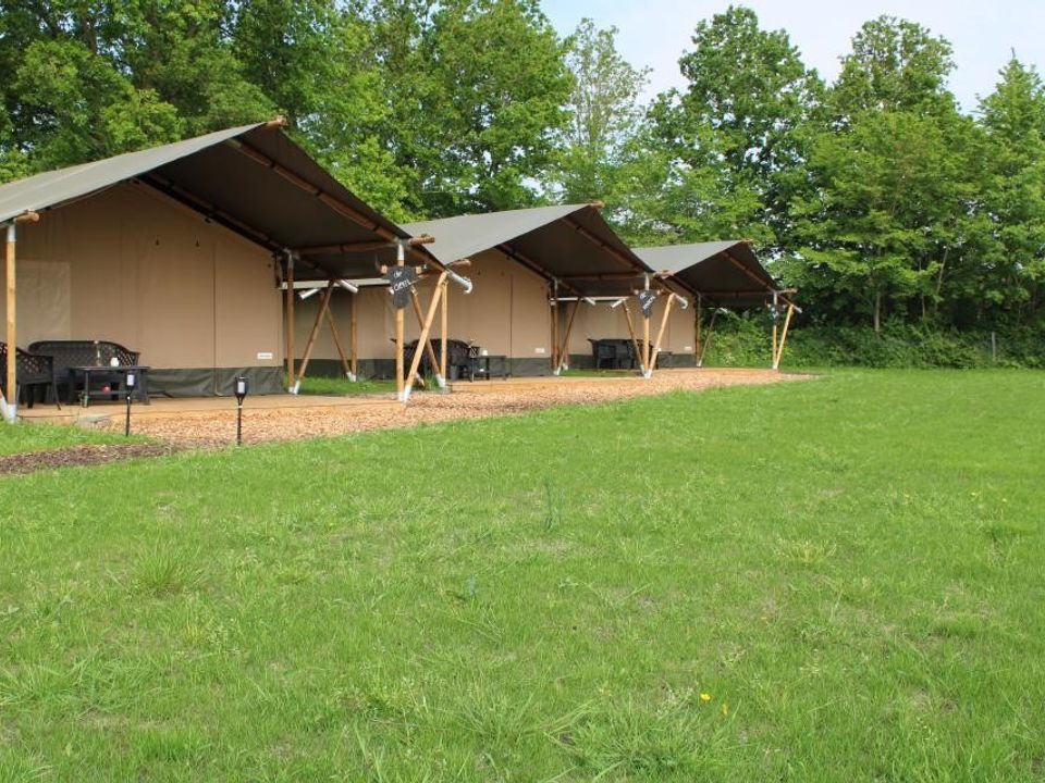 Vodatent Camping de Waterbuffelfarm photo 4