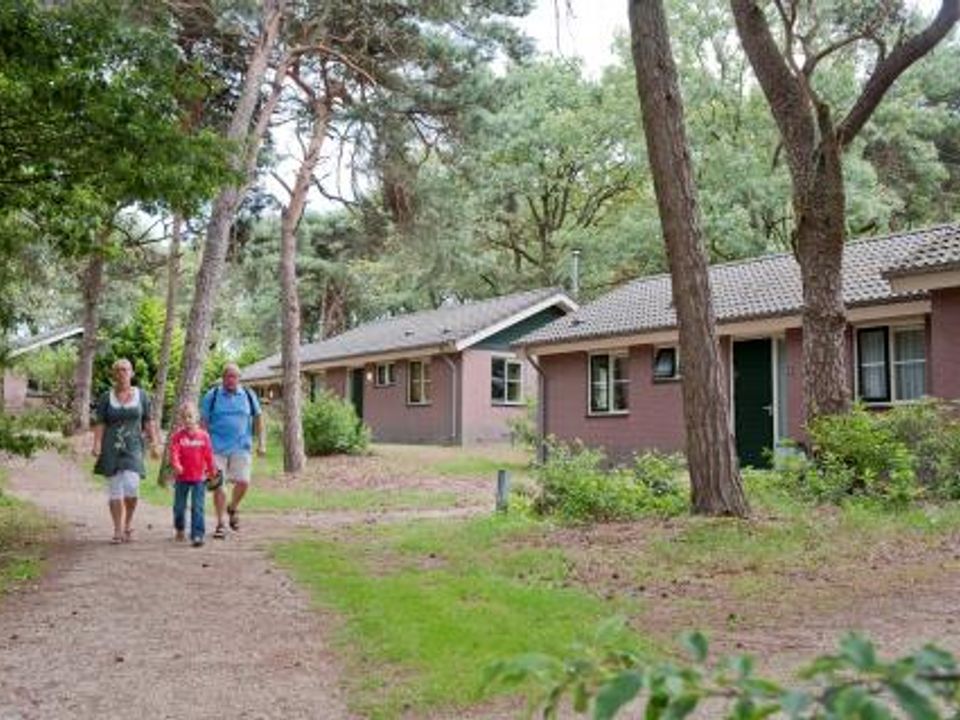 Bospark De Bikkels - Camping Deurne