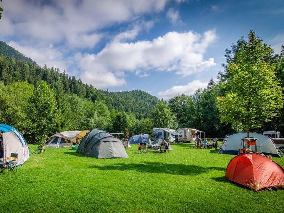 thule sonnenschutz markise Freizeitschmiede Sunblocker 240 / 430 x