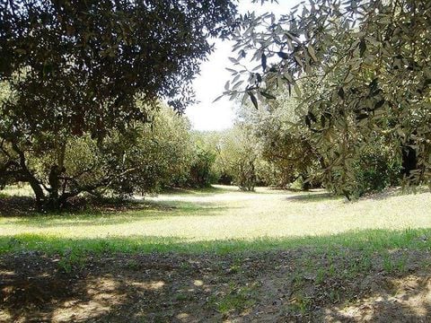 Emplacement - Emplacement caravane