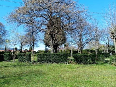 Wecamp Cudillero - Camping Asturias - Image N°9