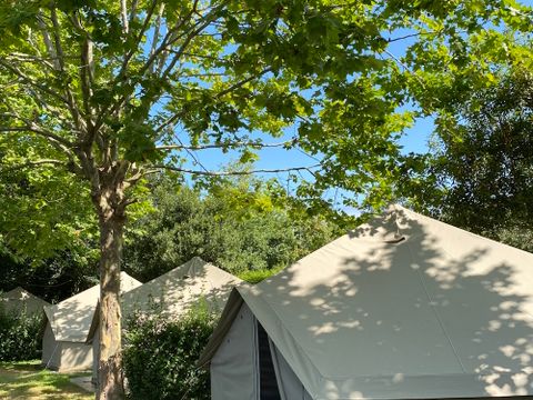 Wecamp Cudillero - Camping Asturies - Image N°3