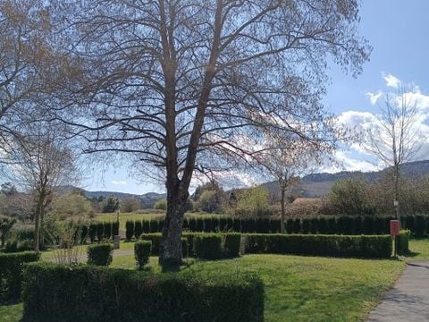 Wecamp Cudillero - Camping Asturias - Image N°10
