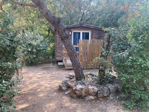 CHALET 2 personnes - CHALET PRET A CAMPER avec kitchenette / sans salle de bain