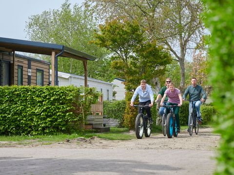 Siblu Camping de Oase - Camping Renesse - Image N°11