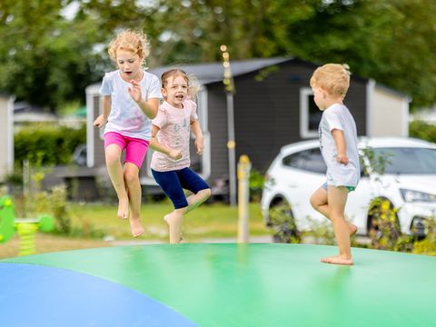 Siblu Camping de Oase - Camping Renesse - Image N°10