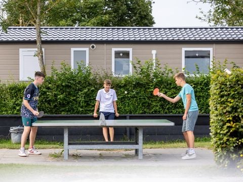 Siblu Camping de Oase - Camping Renesse - Image N°7