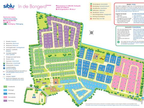 Siblu Camping In de Bongerd - Camping Veere - Image N°26
