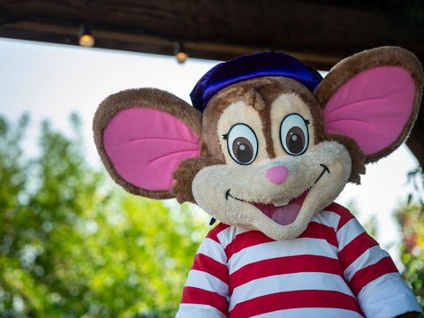 Siblu Camping In de Bongerd - Camping Veere - Image N°13