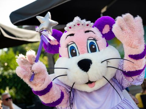 Siblu Camping In de Bongerd - Camping Veere - Image N°15