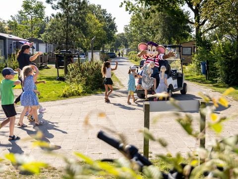 Siblu Camping Lauwersoog - Camping Het Hogeland - Image N°2