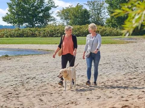 Siblu Camping Meerwijck - Camping Mitte-Groningen - Image N°24