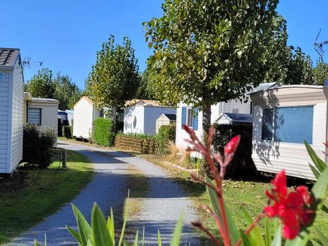 Camping à la Belle étoile - Camping Vendée - Image N°32