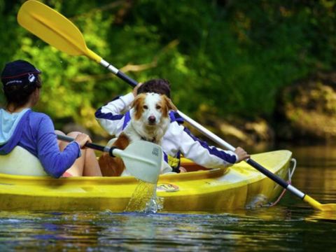 Arden Parks Petite Suisse - Camping Liège