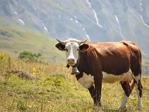 VVF Résidence Albiez-Montrond Maurienne - Camping Saboya - Image N°2