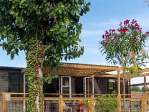 MOBILHOME 6 personnes - Cottage Lavandou 6p 3ch Premium