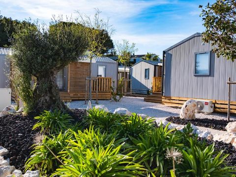 Domaine des Tamaris Pausado - Camping Bouches-du-Rhône - Image N°7