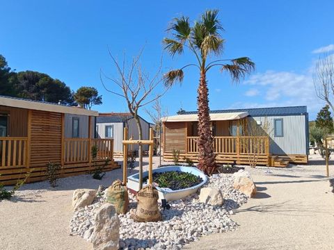 Domaine des Tamaris Pausado - Camping Bouches-du-Rhône - Image N°36