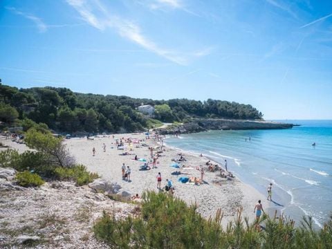 Domaine des Tamaris Pausado - Camping Bouches-du-Rhône - Image N°5