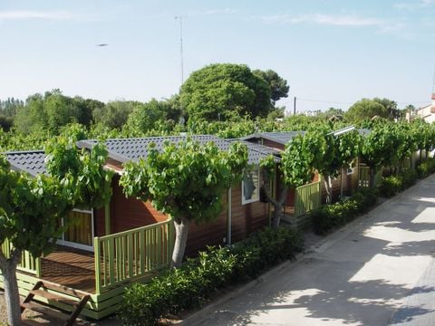 BUNGALOW 4 personnes - Morea