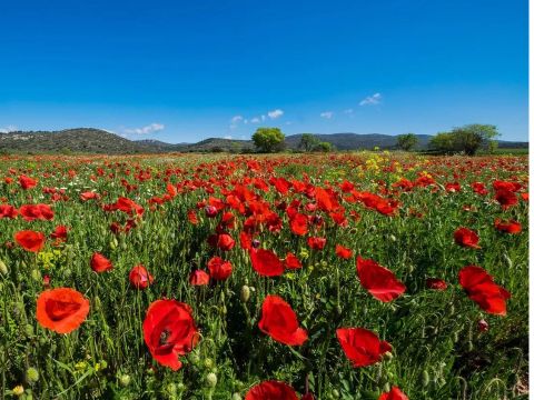 Camping Le Luberon | Pausado - Camping Vaucluse - Image N°29