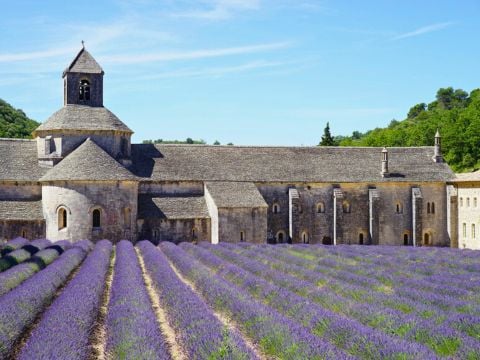 Camping Le Luberon | Pausado - Camping Vaucluse