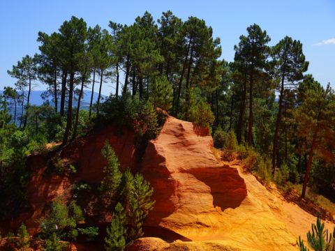 Camping Le Luberon | Pausado - Camping Vaucluse - Image N°43