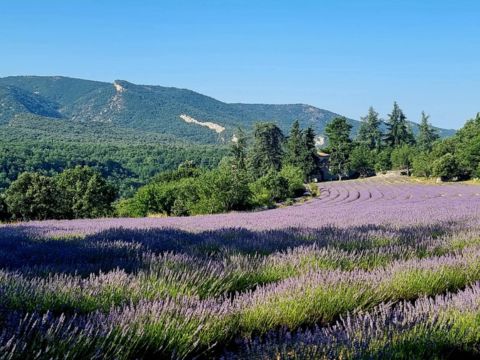 Camping Le Luberon | Pausado - Camping Vaucluse - Image N°36